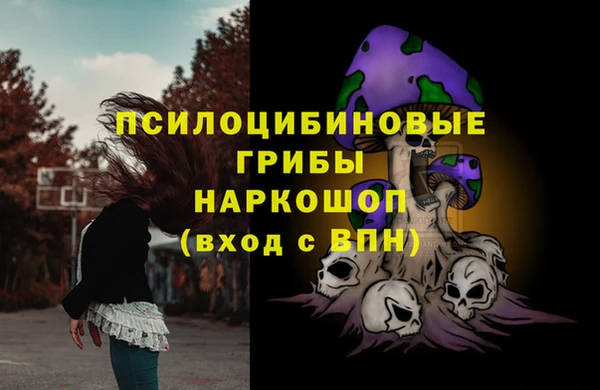 соль курить ск Кукмор