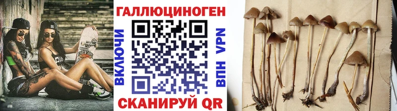 Галлюциногенные грибы GOLDEN TEACHER  Щучье 