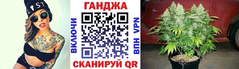 продажа наркотиков  shop формула  Марихуана план  Щучье 